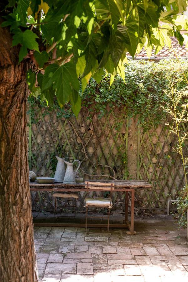 Maison Xixe Et Jardin En Intramuros Αβινιόν Εξωτερικό φωτογραφία